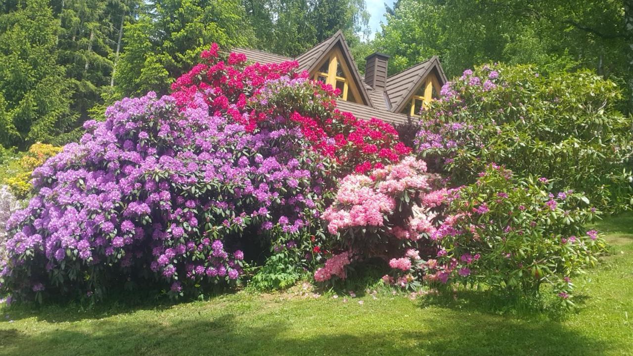 Chalet Bellevue Rogla Zreče Zewnętrze zdjęcie