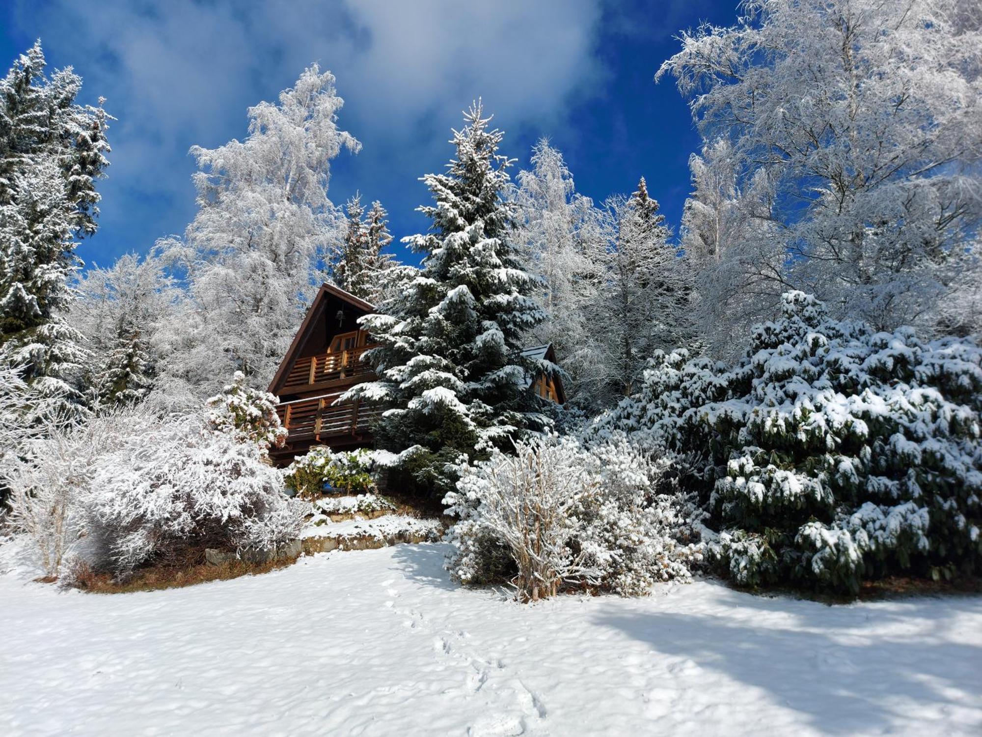 Chalet Bellevue Rogla Zreče Zewnętrze zdjęcie